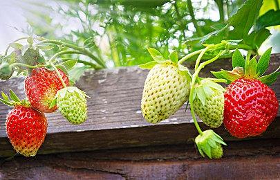 《幽暗洞穴》登陆Steam 肉鸽卡牌构筑回合战斗